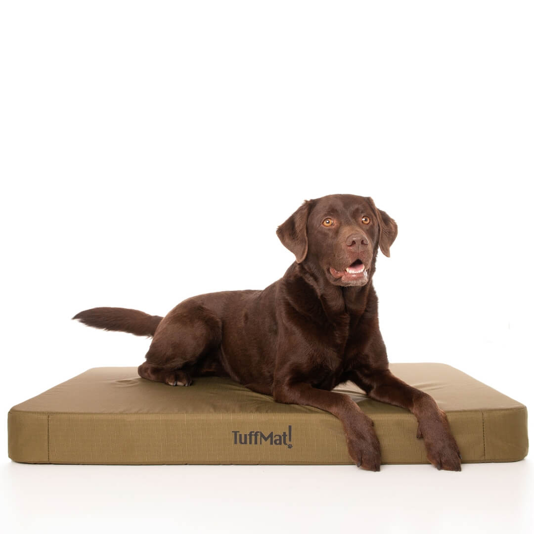 TuffMat! Orthopaedic Dog Bed-Dog Bed-Rover Pet Products