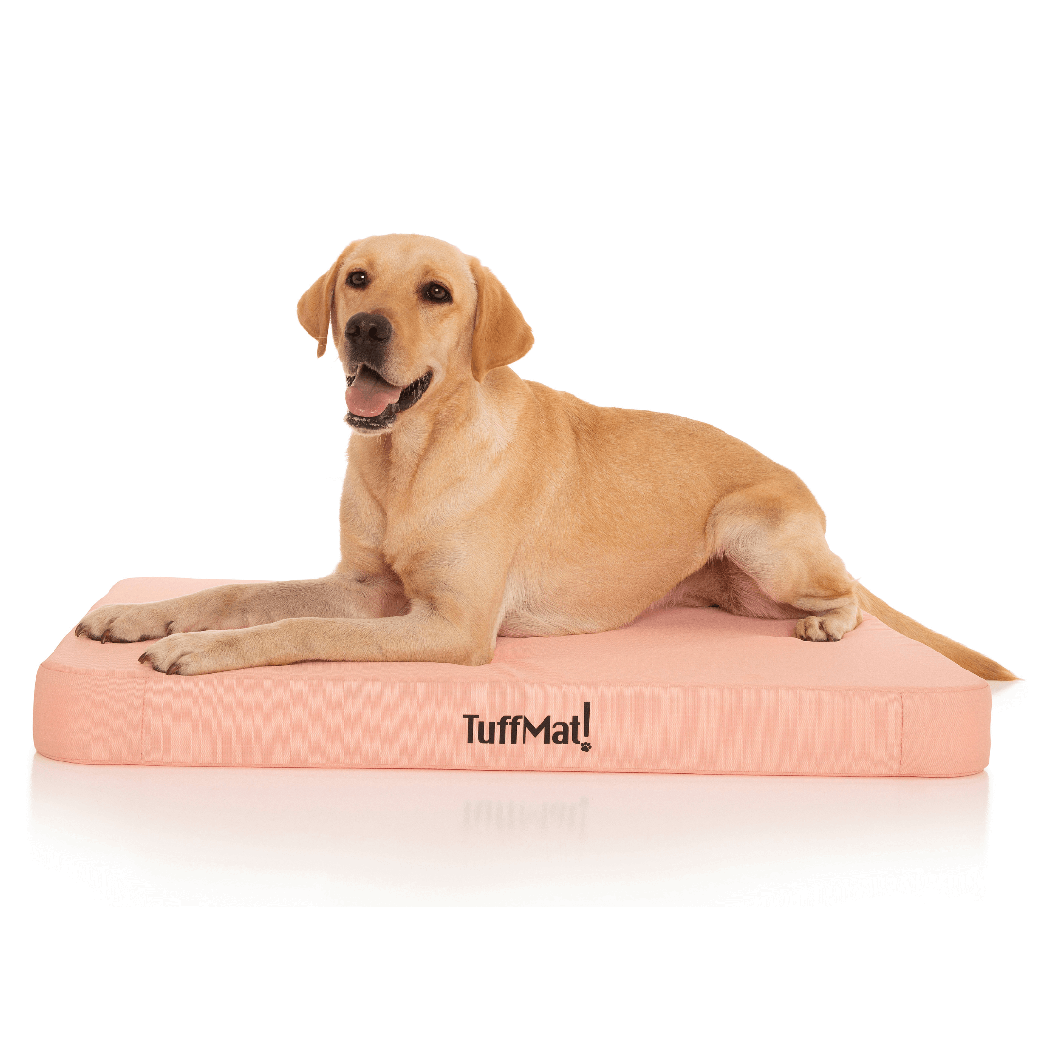 Memory Foam Dog Sun Lounger Brentwood Originals Indoor/Outdoor Pet
