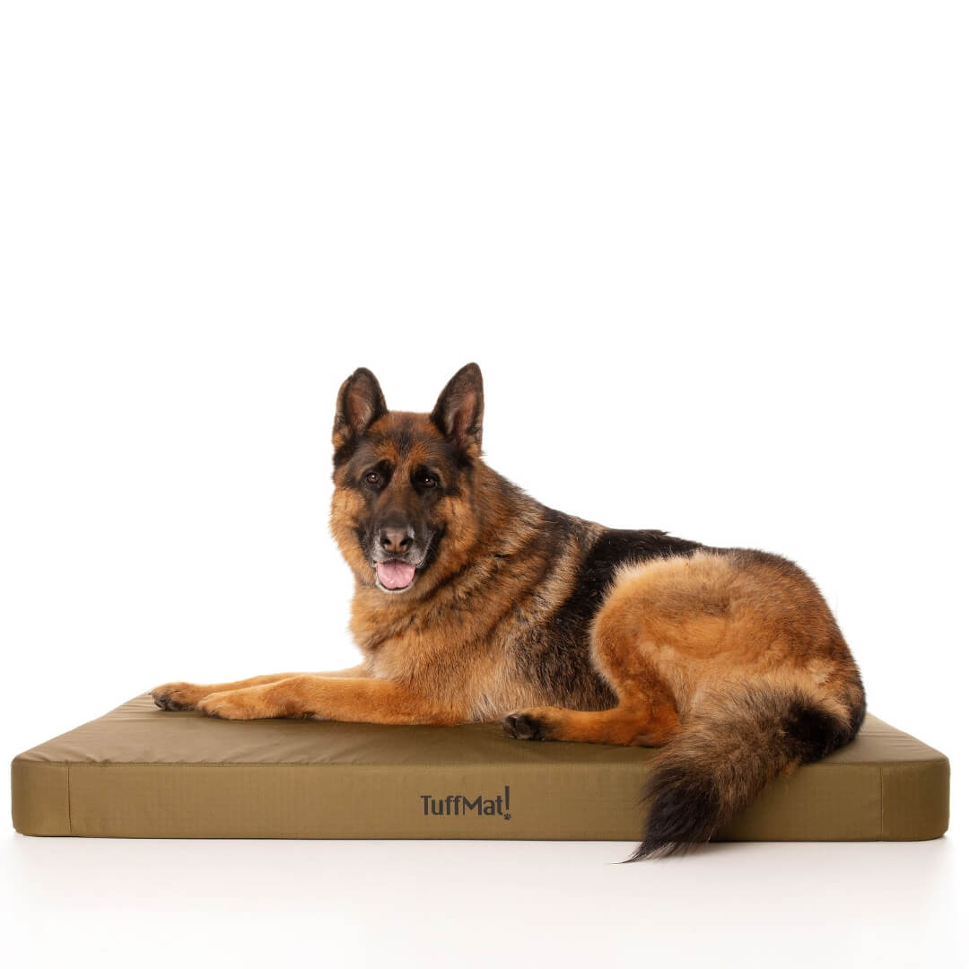 TuffMat! Orthopaedic Dog Bed-Dog Bed-Rover Pet Products