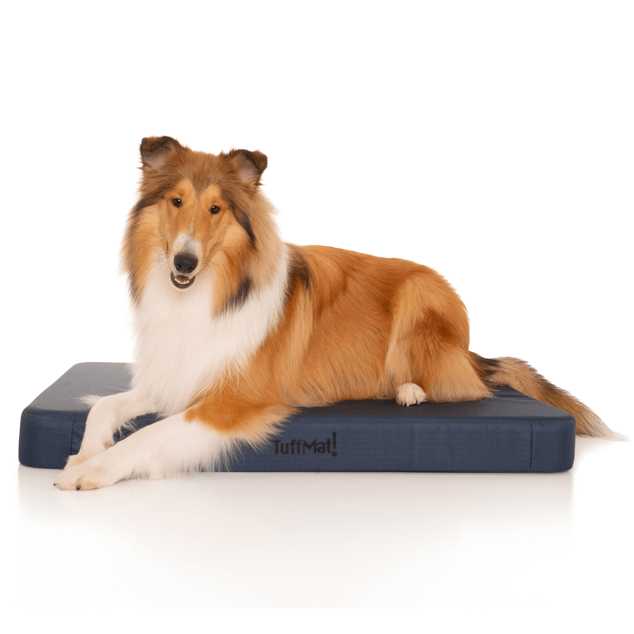 TuffMat! Orthopaedic Dog Bed-Dog Bed-Rover Pet Products