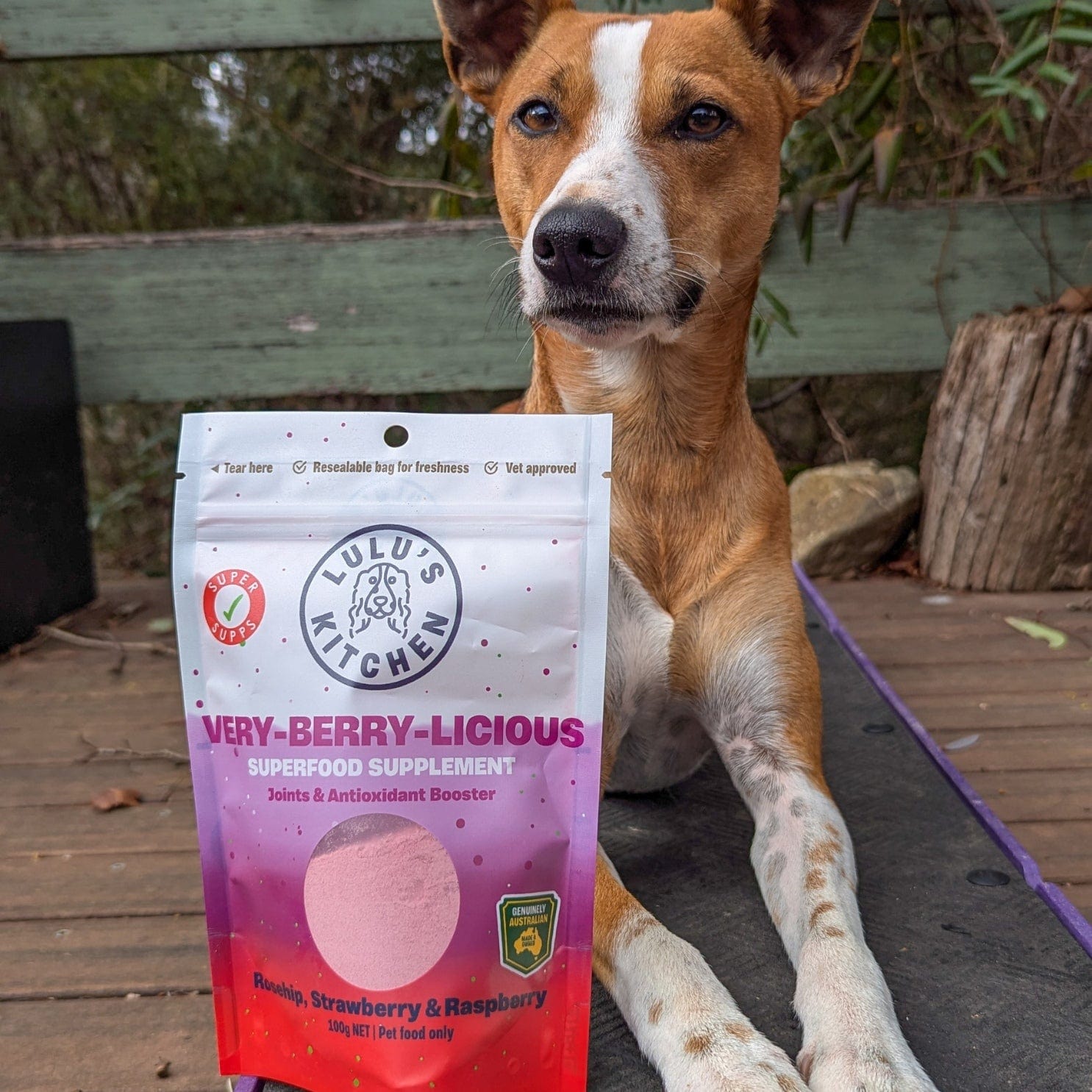 Very-Berry-Licious - Joints & Antioxidant Booster-Rover Pet Products