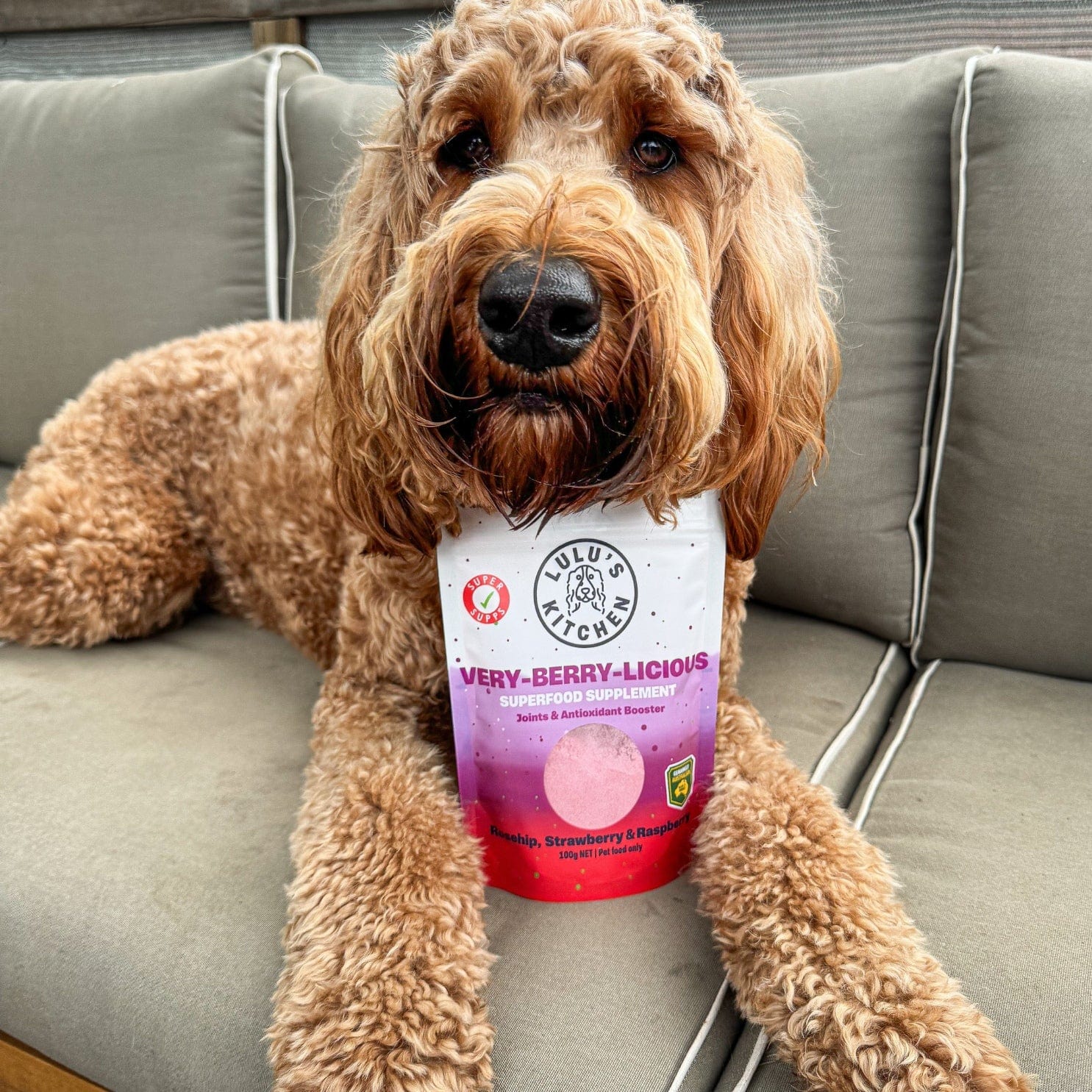 Very-Berry-Licious - Joints & Antioxidant Booster-Rover Pet Products