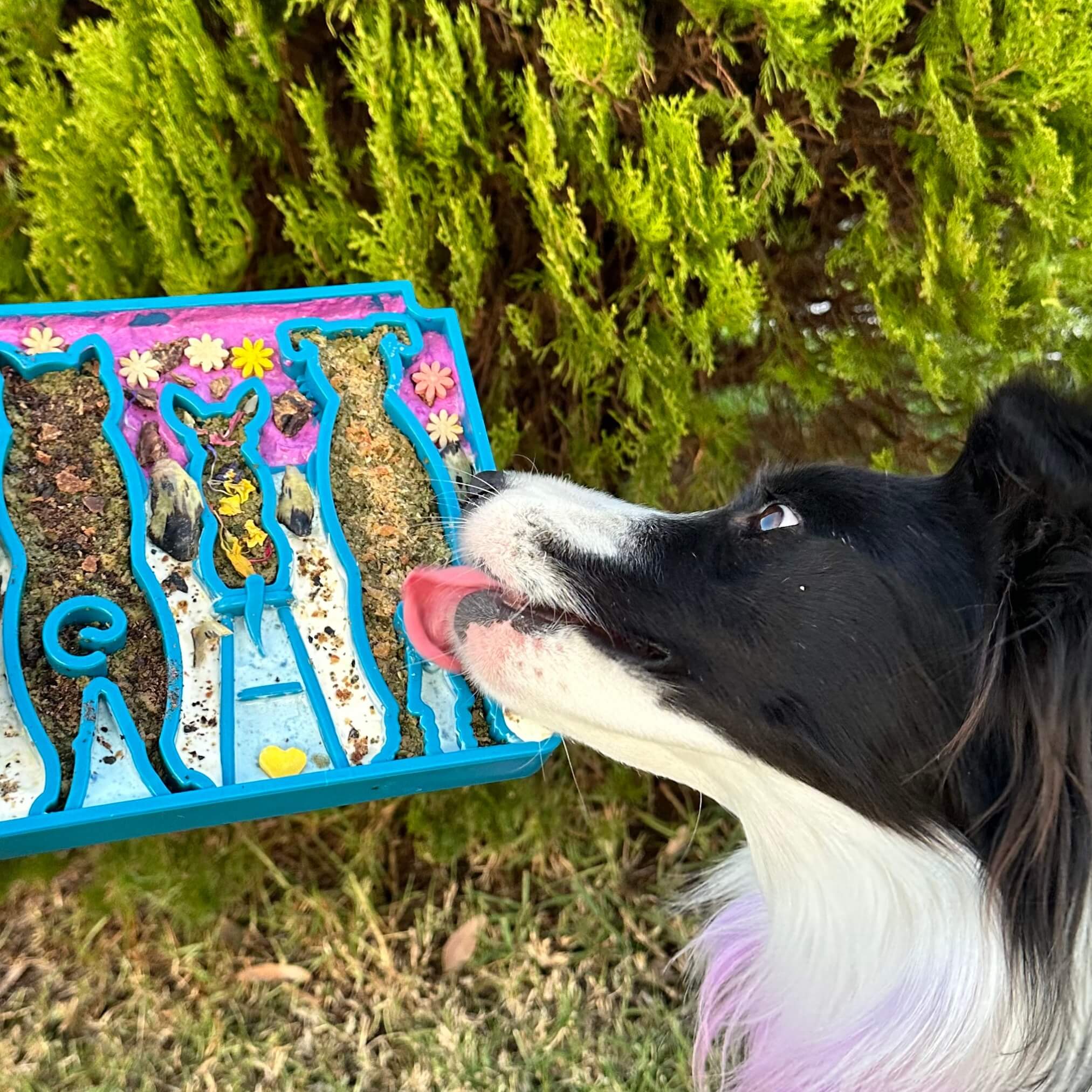 Waiting Slowfeeder eTray-Slow Feeder-Rover Pet Products