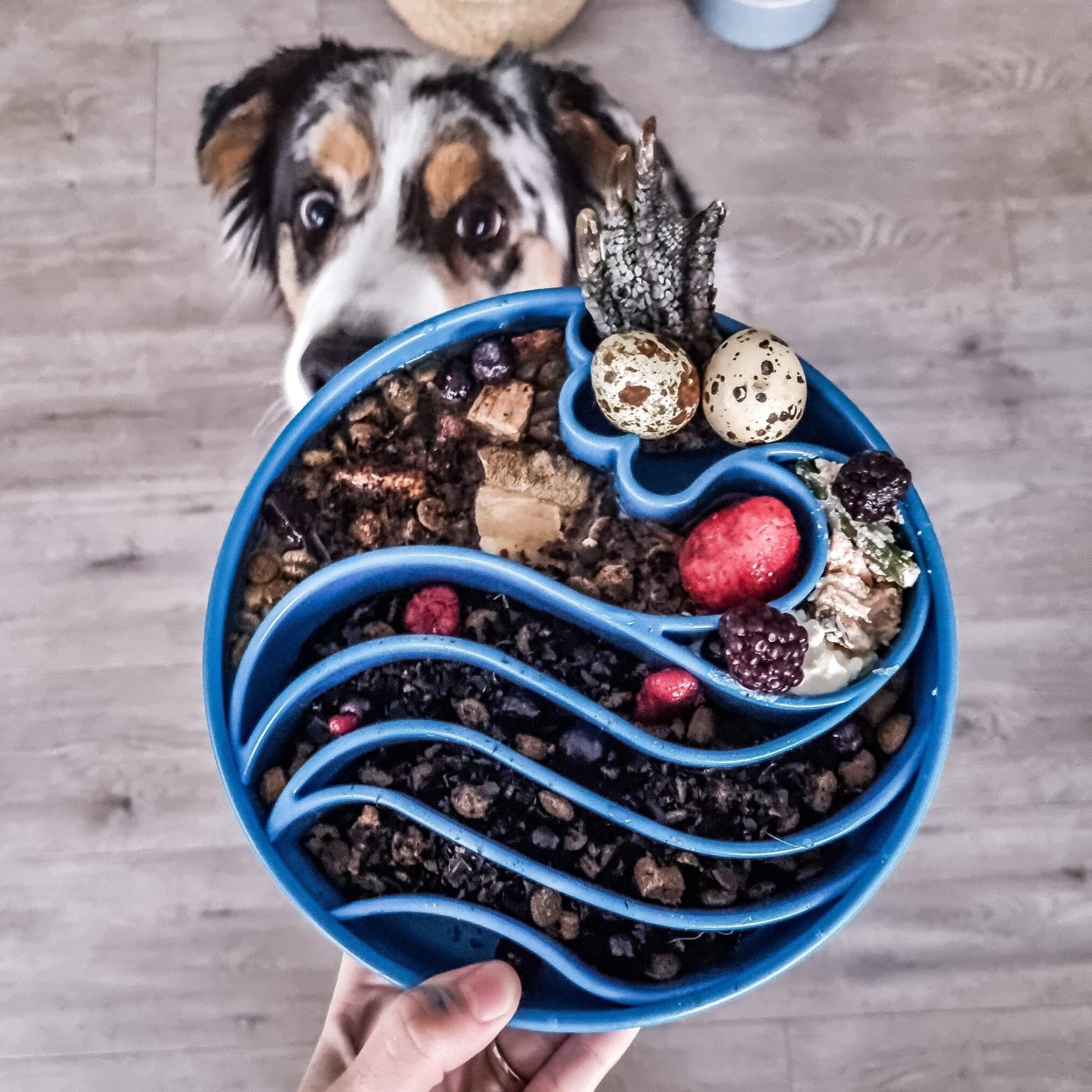 Wave eBowl Slow Feeder For Dogs-Slow Feeder-Rover Pet Products