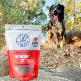 Wingn It - Kangaroo Wings-Unclassified-Rover Pet Products