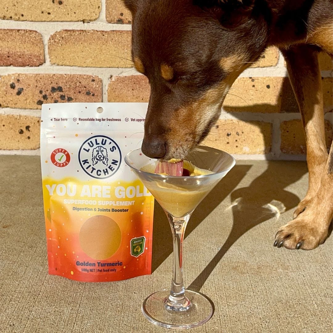 You Are Gold - Digestion & Joints Booster-Rover Pet Products