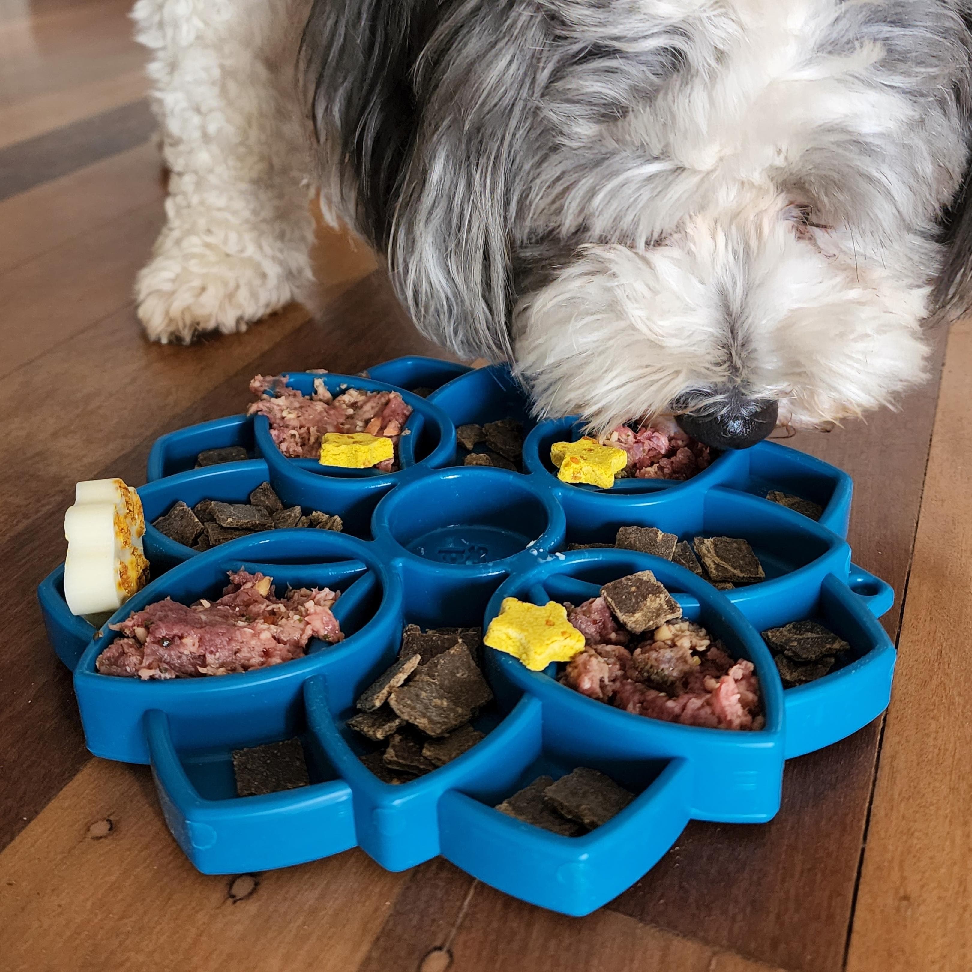 SodaPup - Mandala Design eTray Enrichment Tray for Dogs Blue