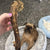 Turkey Necks