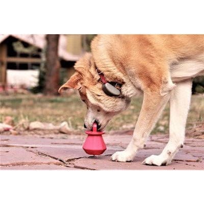 Puppy Bling Ring-Dog Toy-Rover Pet Products