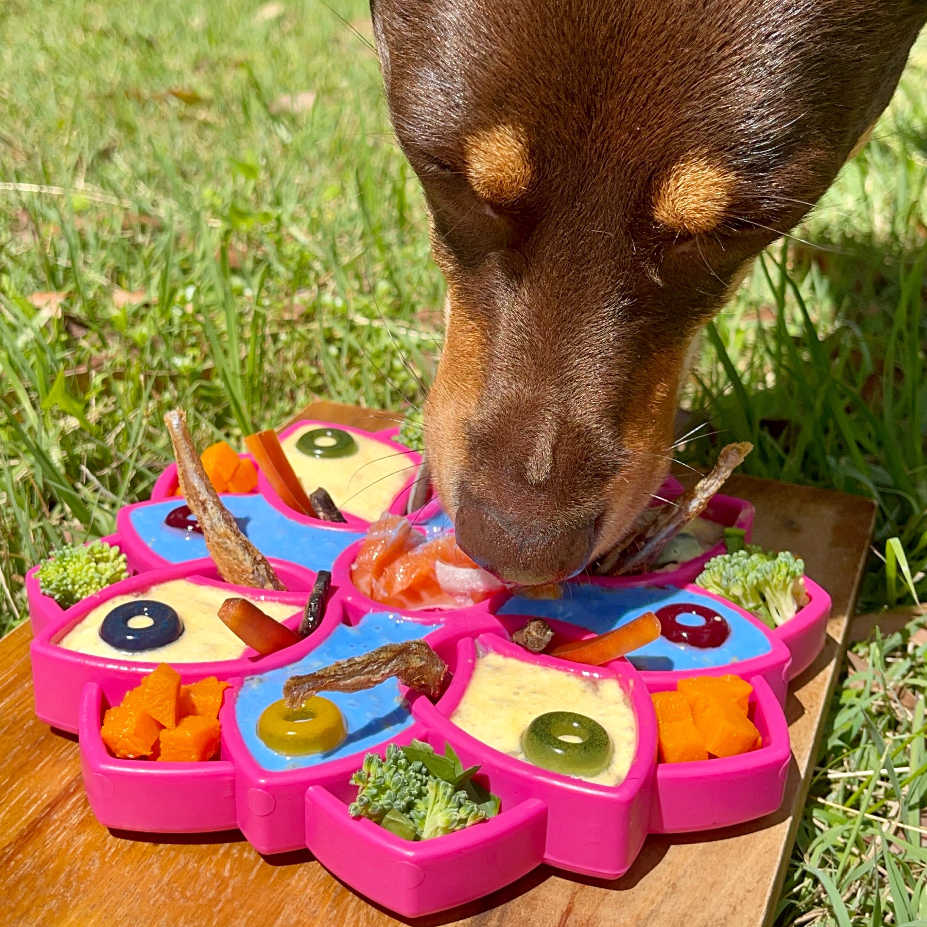 Mandala eTray Enrichment Slowfeeder Tray for Dogs - Rover Pet Products