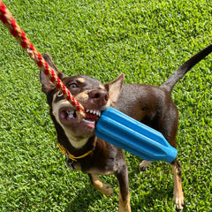 Rocket Pop Dental and Retrieving Toy