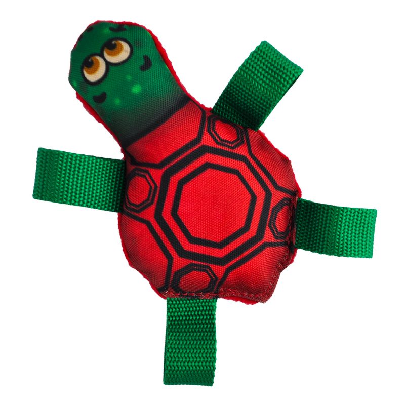 Tommy Turtle
