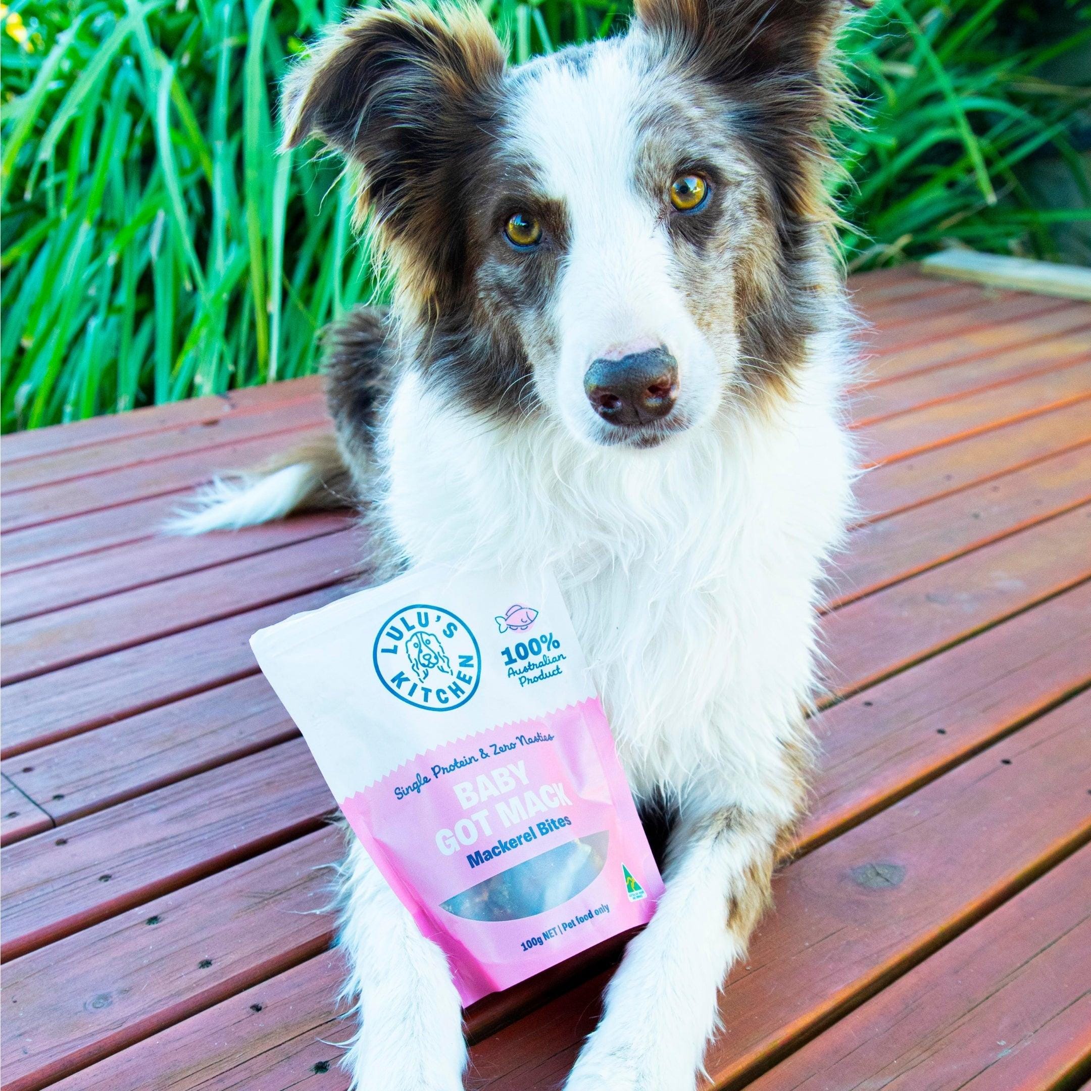 Baby Got Mack - Mackerel Bites-Dog Treat-Rover Pet Products