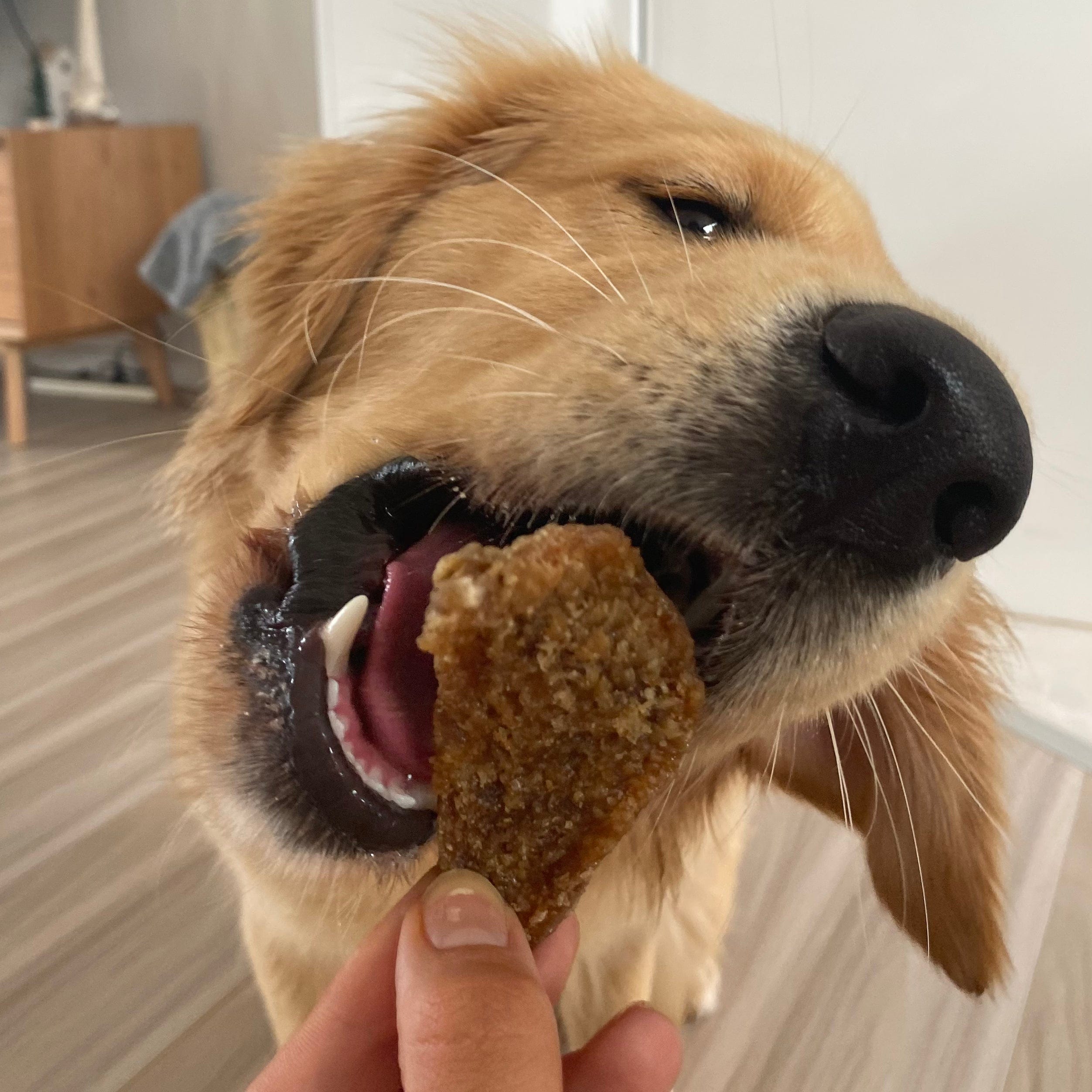 Belly Flop - Beef Tripe - New-Dog Treat-Rover Pet Products