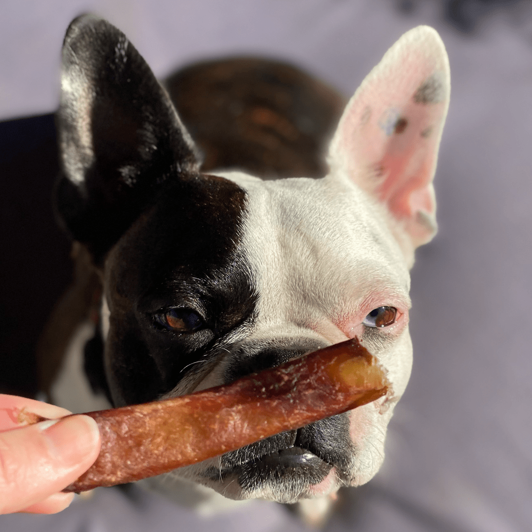 Bite Me! - Bully Bites-Dog Treat-Rover Pet Products