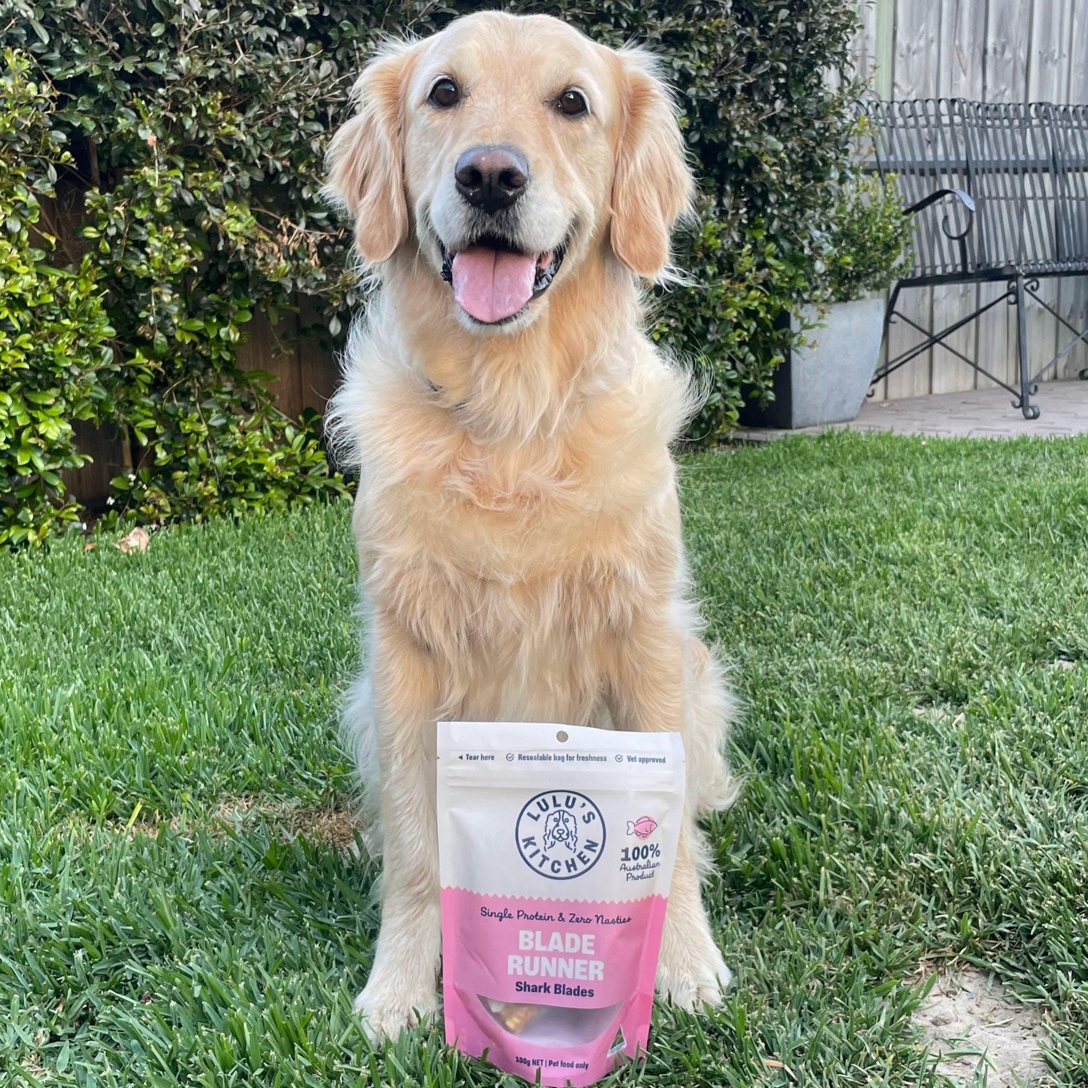 Blade Runner - Shark Blade-Dog Treat-Rover Pet Products