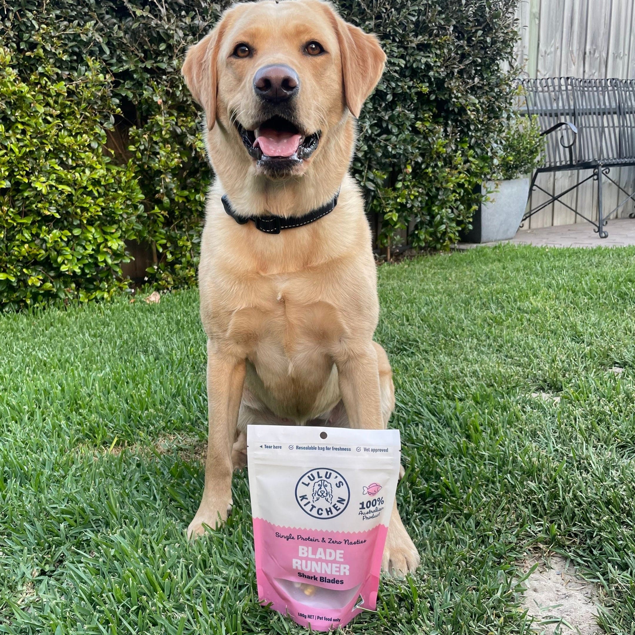 Blade Runner - Shark Blade-Dog Treat-Rover Pet Products