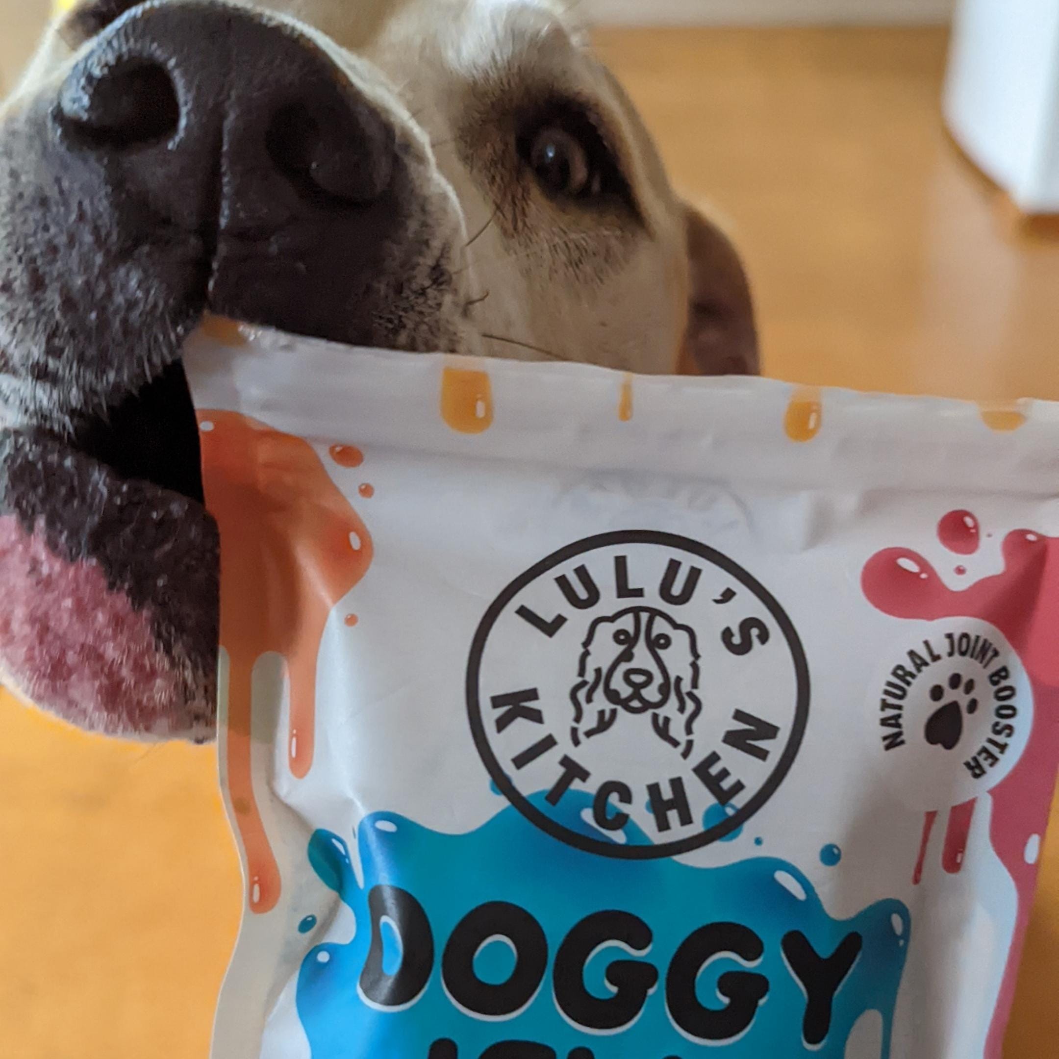 Blueberry & Blue Spirulina Superfood Jelly-Doggy Jelly-Rover Pet Products