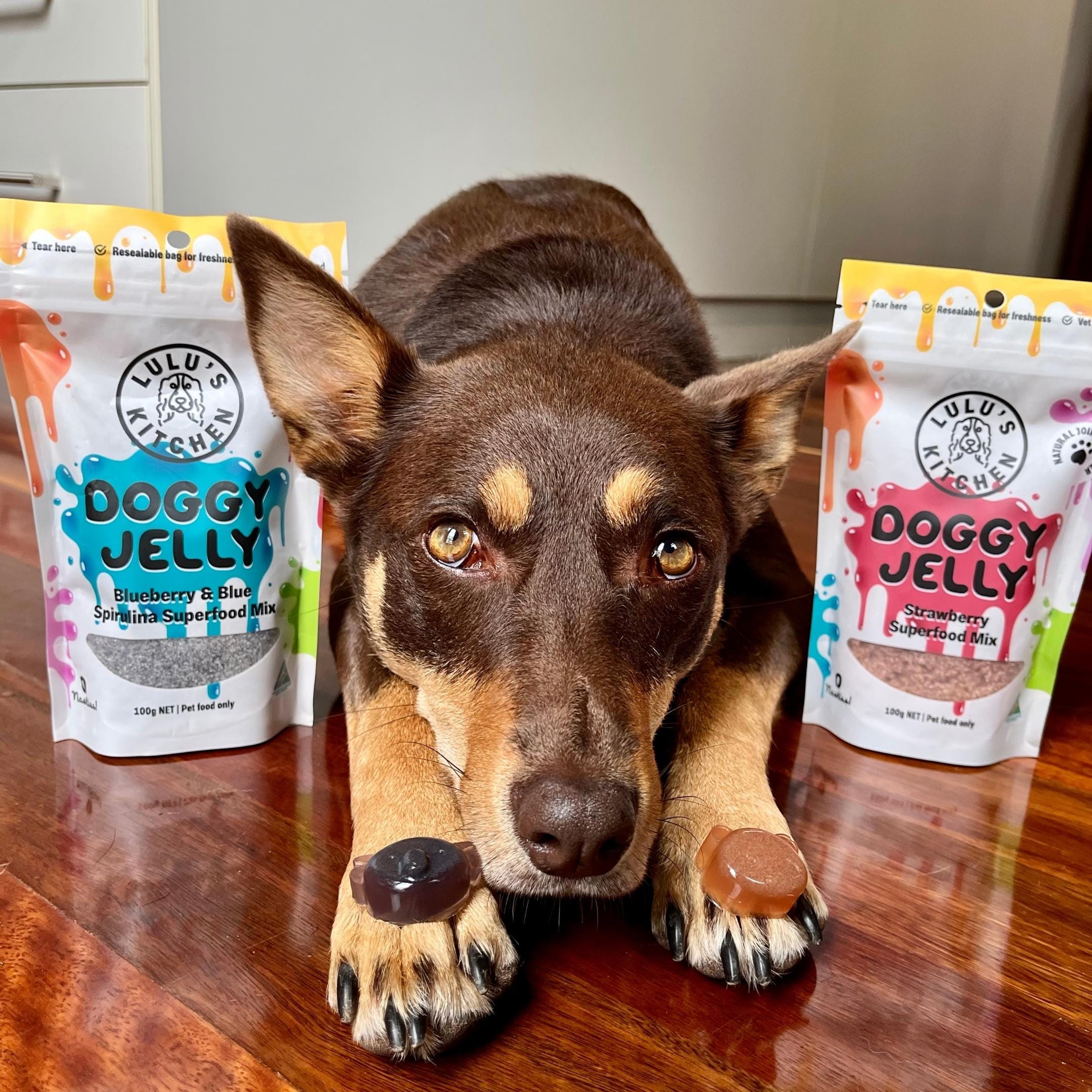 Blueberry & Blue Spirulina Superfood Jelly-Doggy Jelly-Rover Pet Products