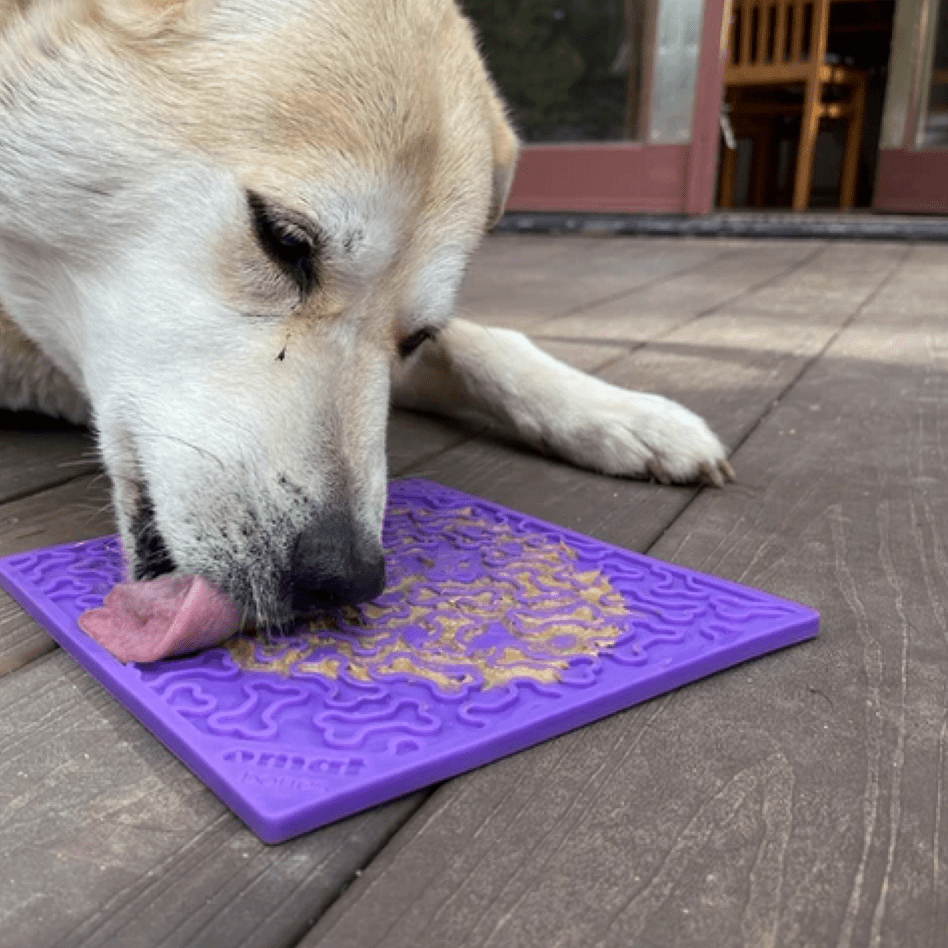 Bones eMat Enrichment Lick Mat-Slow Feeder-Rover Pet Products