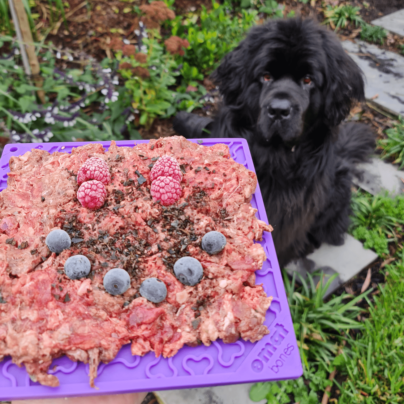 Bones eMat Enrichment Lick Mat-Slow Feeder-Rover Pet Products