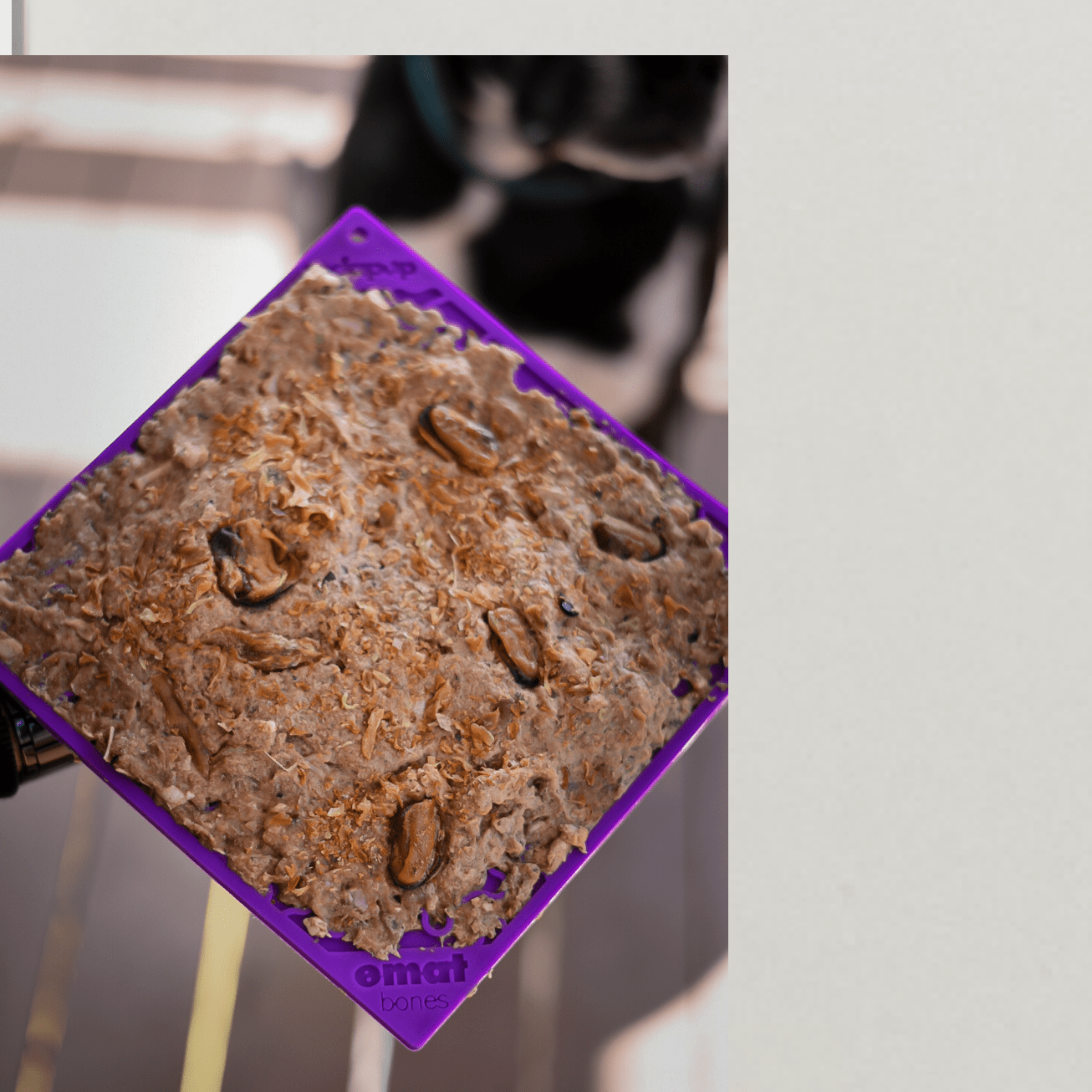 Bones eMat Enrichment Lick Mat-Slow Feeder-Rover Pet Products