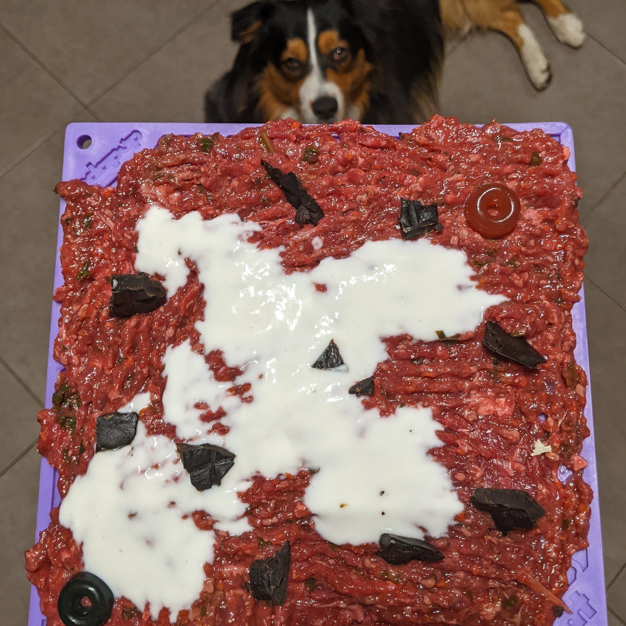 Bones eMat Enrichment Lick Mat-Slow Feeder-Rover Pet Products