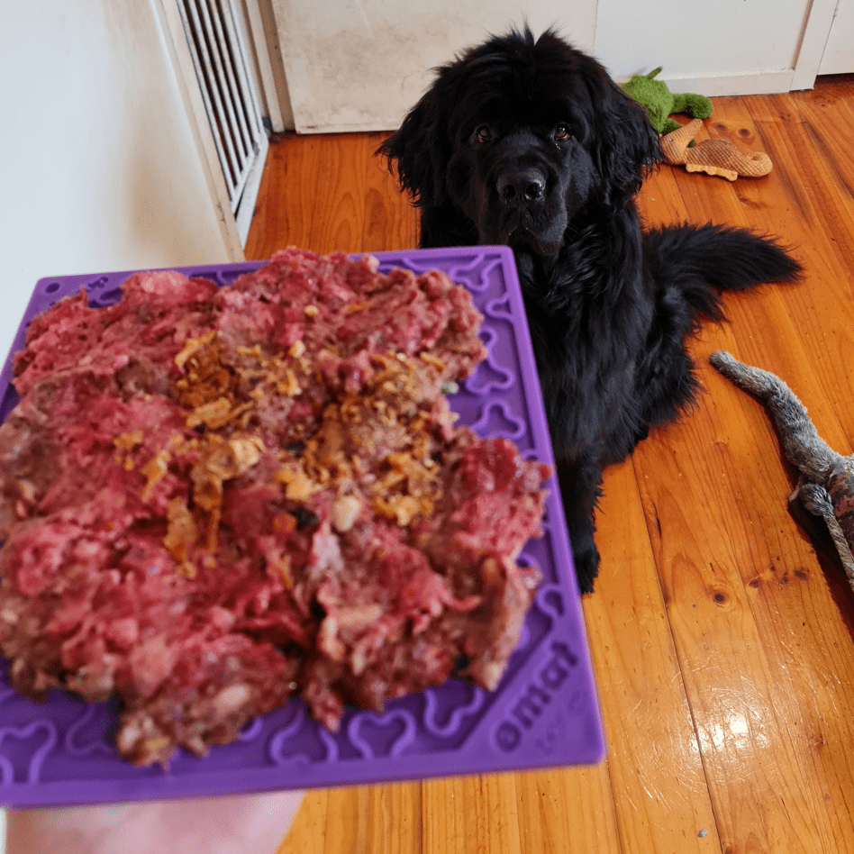 Bones eMat Enrichment Lick Mat-Slow Feeder-Rover Pet Products