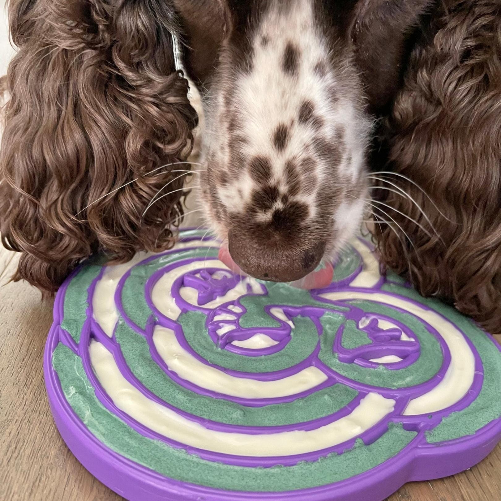 Bullfrog Slowfeeder eTray-Slow Feeder-Rover Pet Products