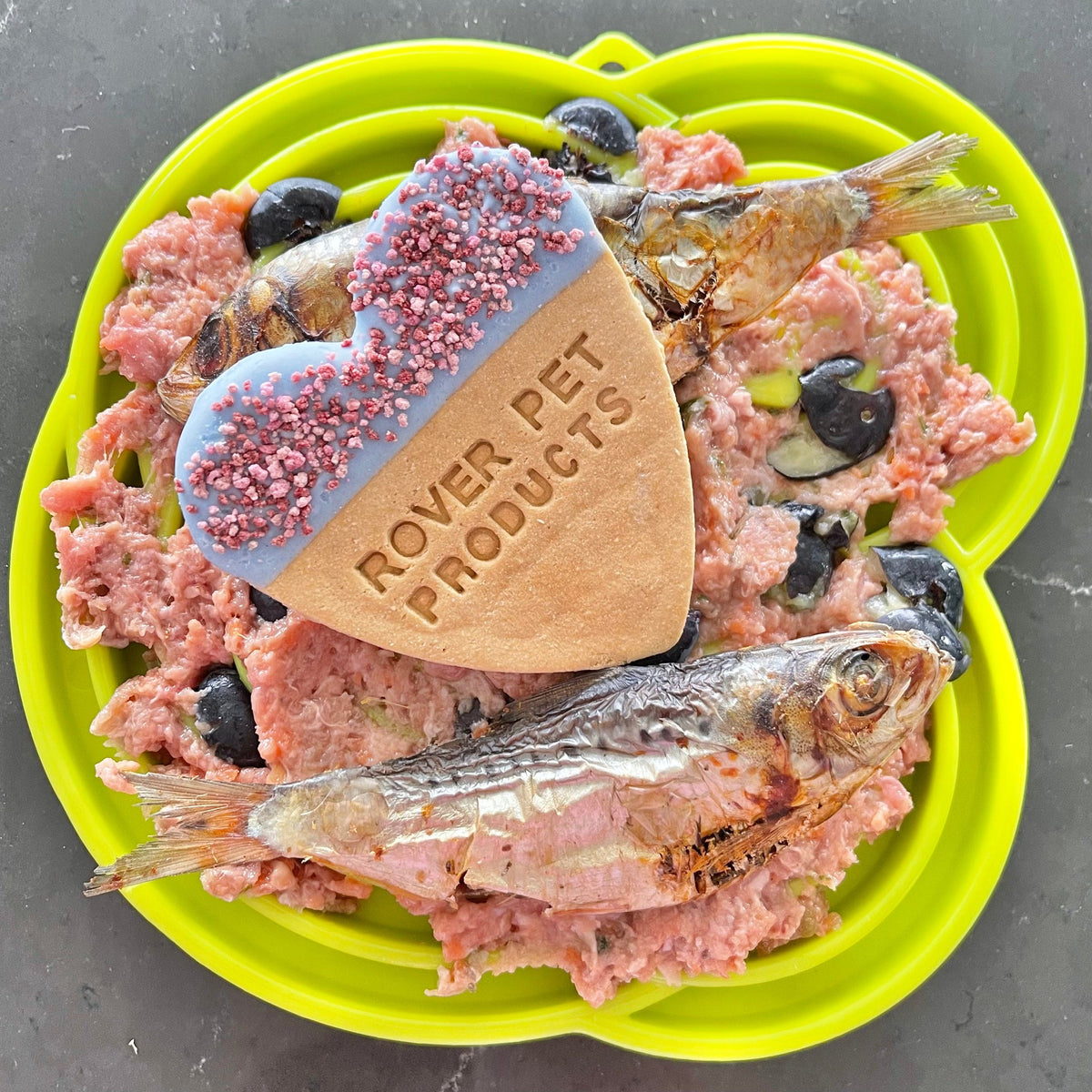 Bullfrog Slowfeeder eTray-Slow Feeder-Rover Pet Products