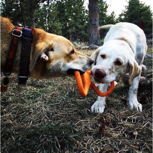 Can Opener Tug Toy-Dog Toy-Rover Pet Products