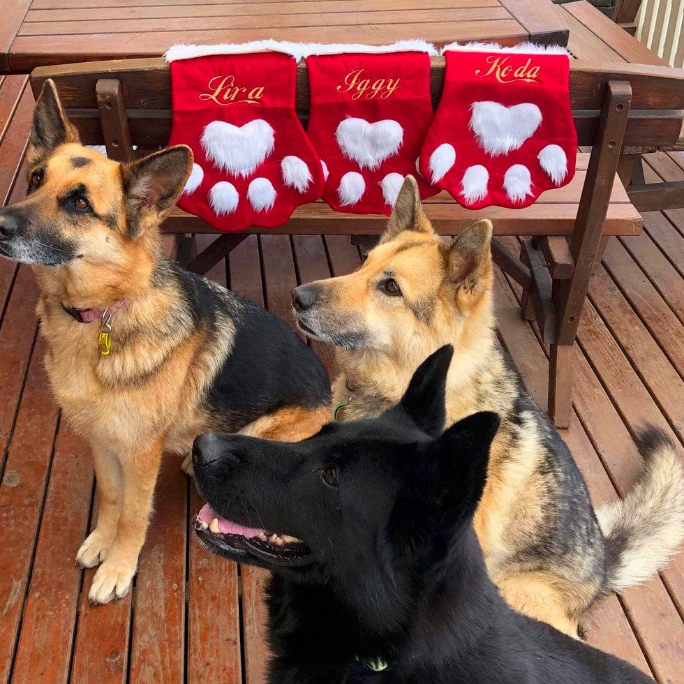 Christmas Stocking-Rover Pet Products