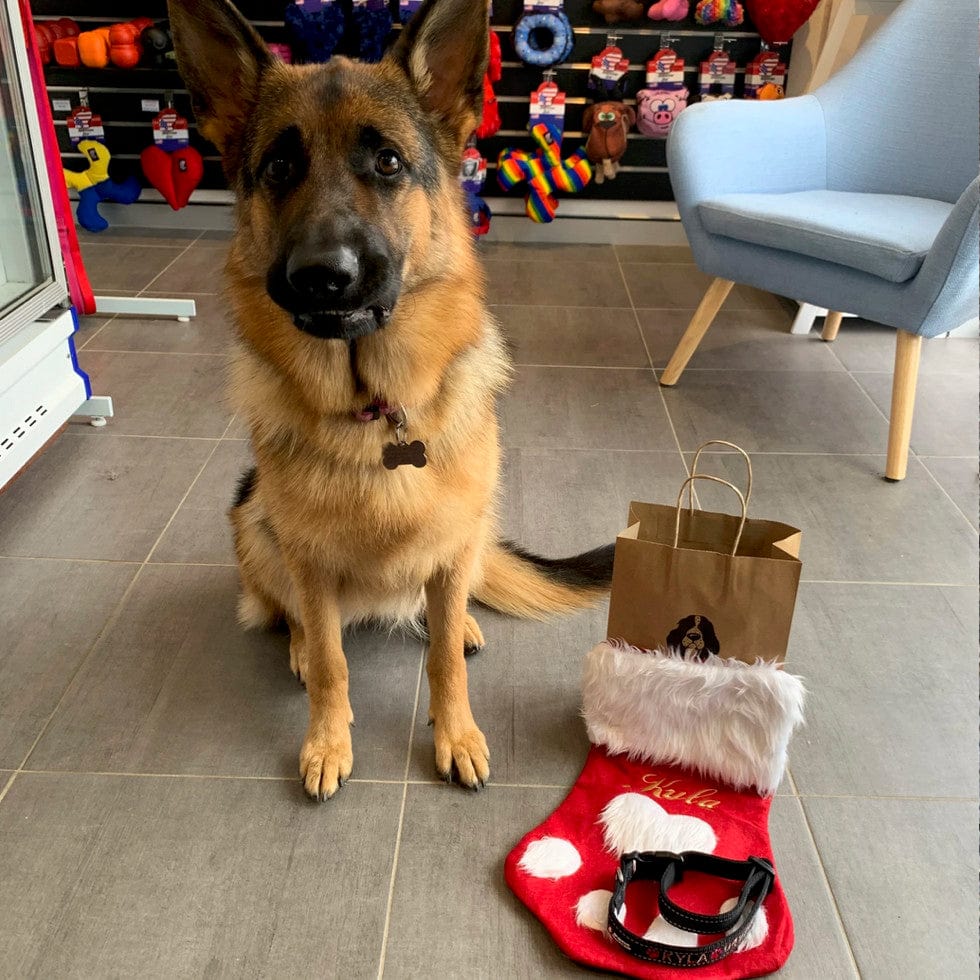 Christmas Stocking-Rover Pet Products