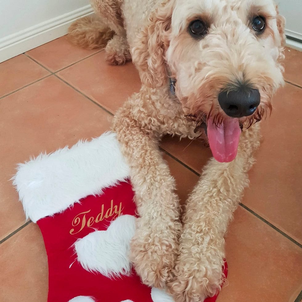 Christmas Stocking-Rover Pet Products