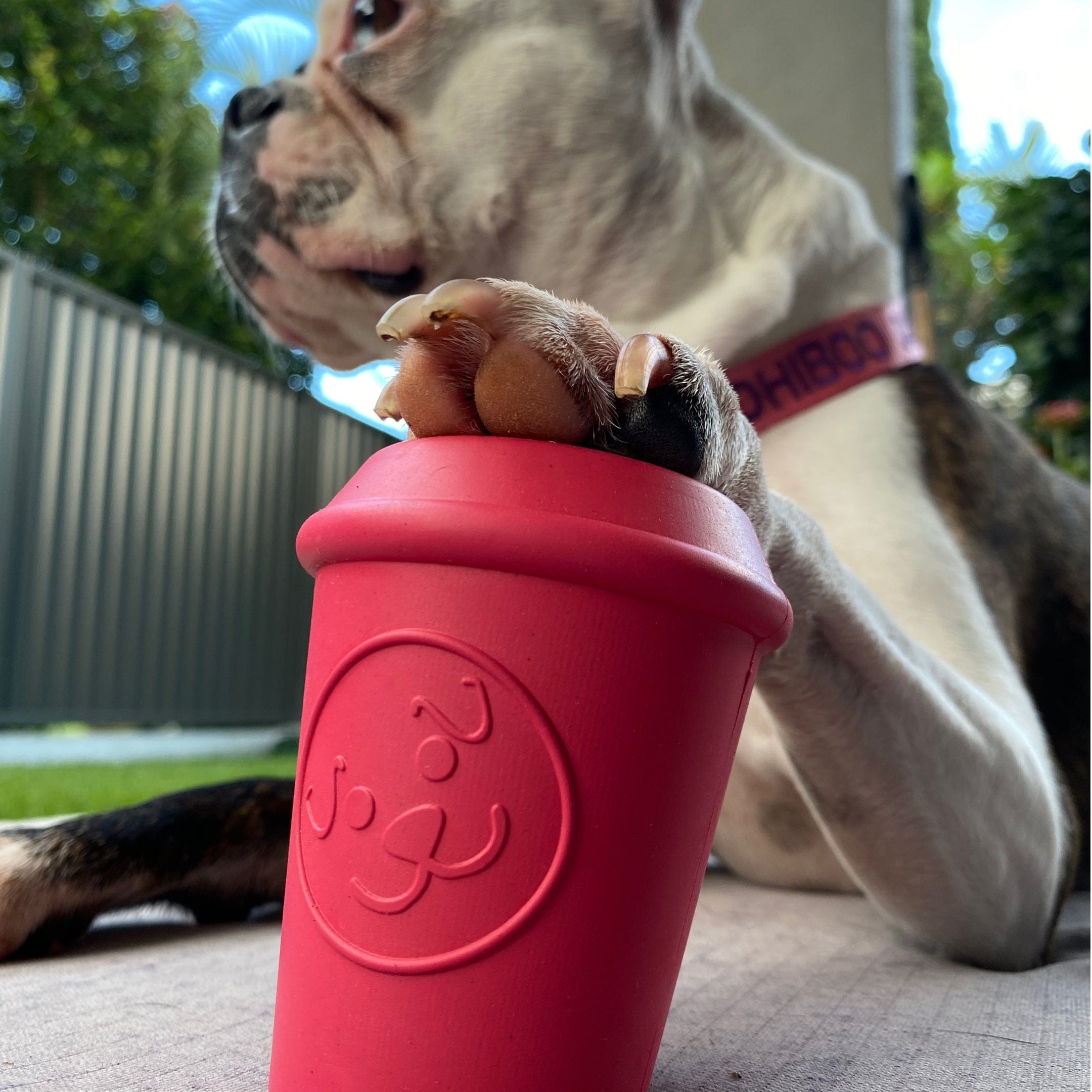 Coffee Cup-Dog Toy-Rover Pet Products