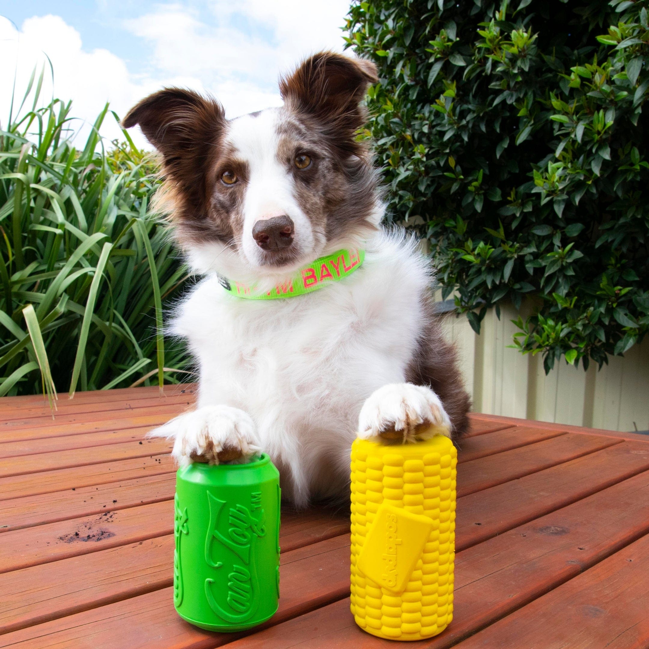 Corn On The Cob-Dog Toy-Rover Pet Products