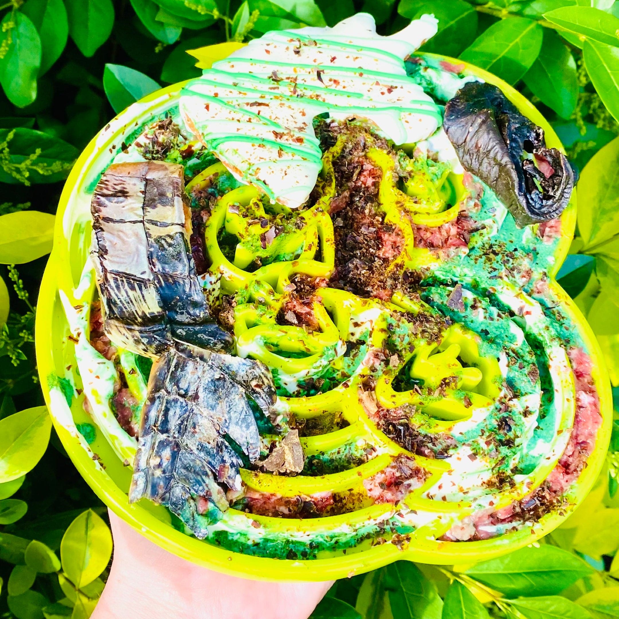 Croc Crisps - Crocodile Chips-Dog Treat-Rover Pet Products