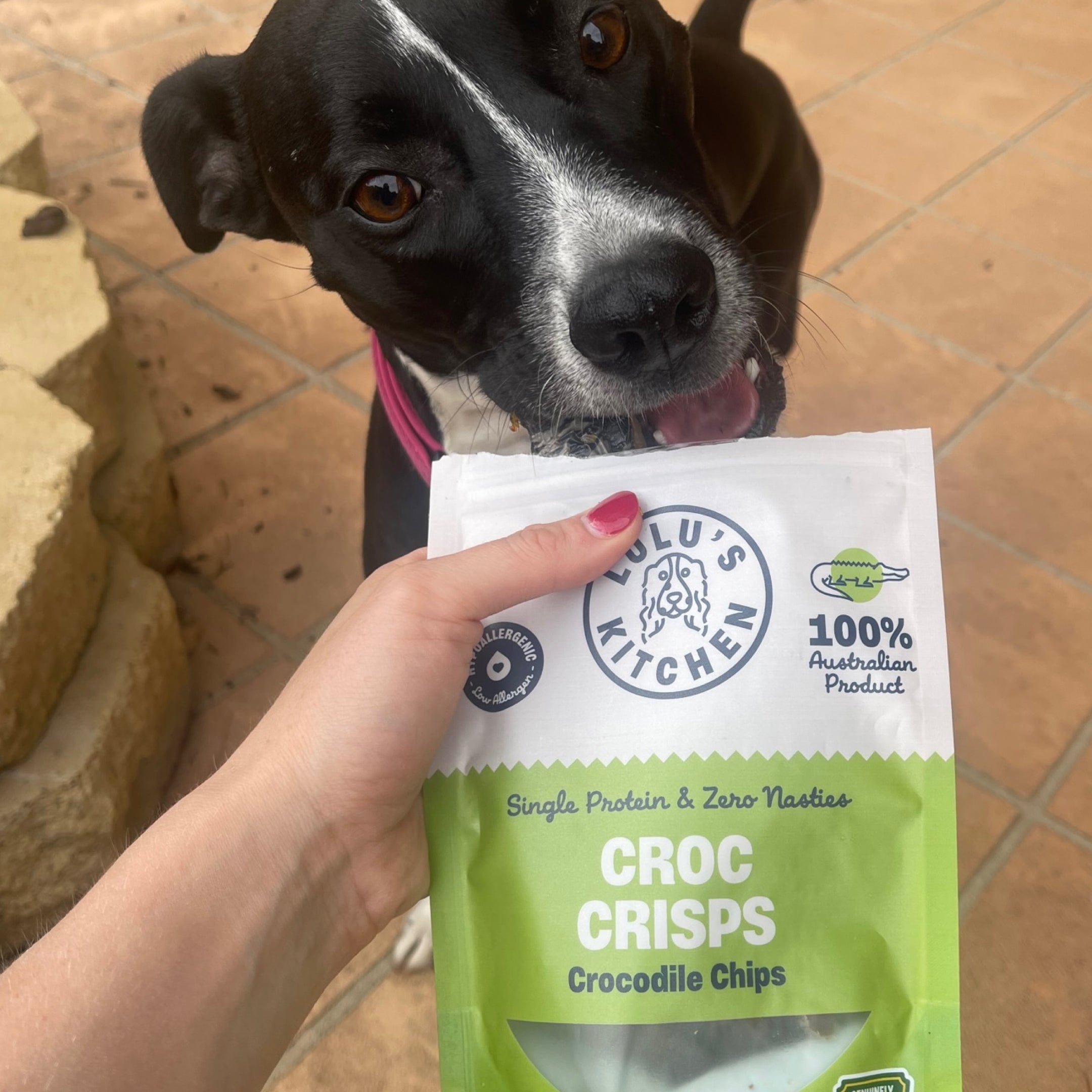 Croc Crisps - Crocodile Chips-Dog Treat-Rover Pet Products