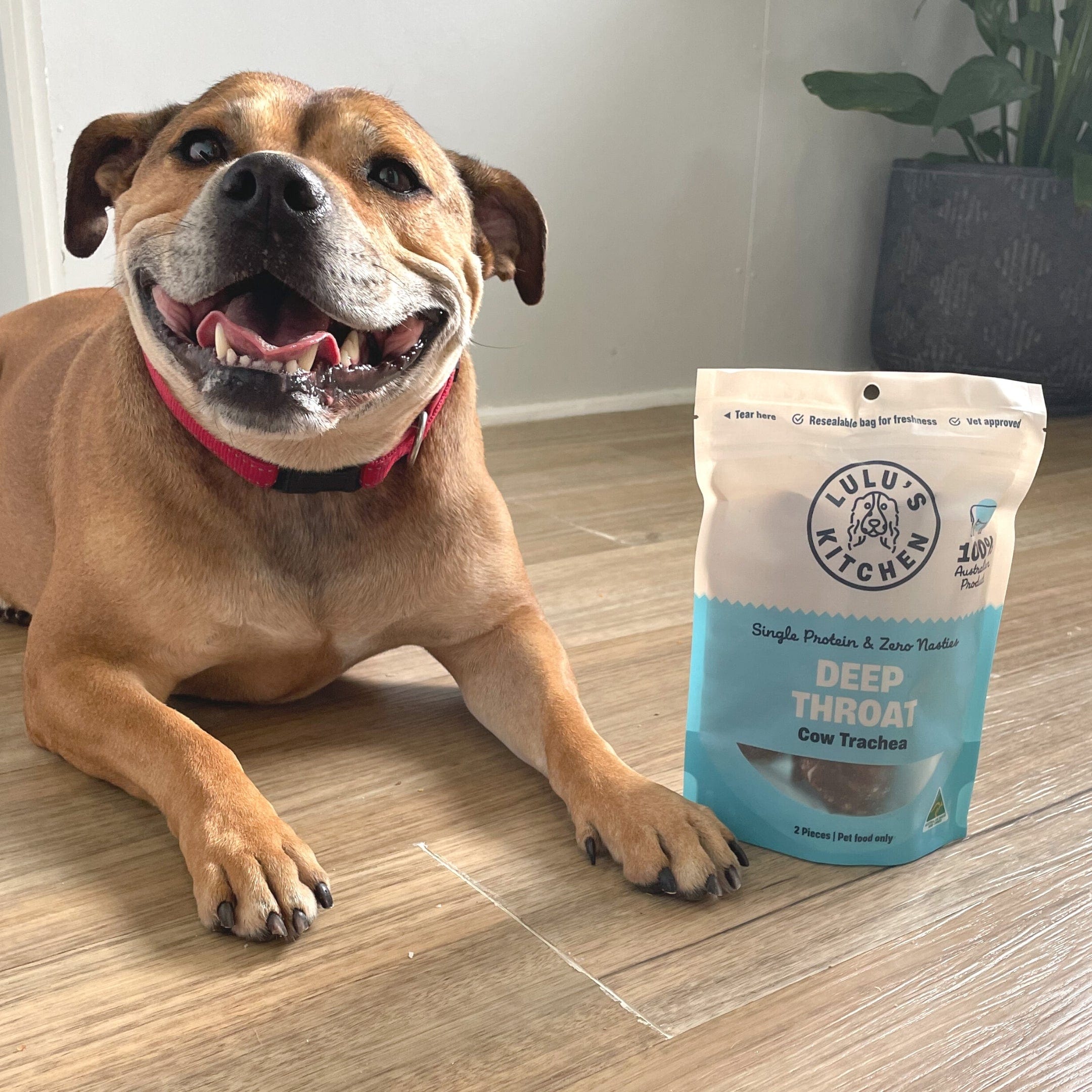 Deep Throat - Cow Trachea-Dog Treat-Rover Pet Products