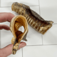 Deep Throat - Cow Trachea-Dog Treat-Rover Pet Products