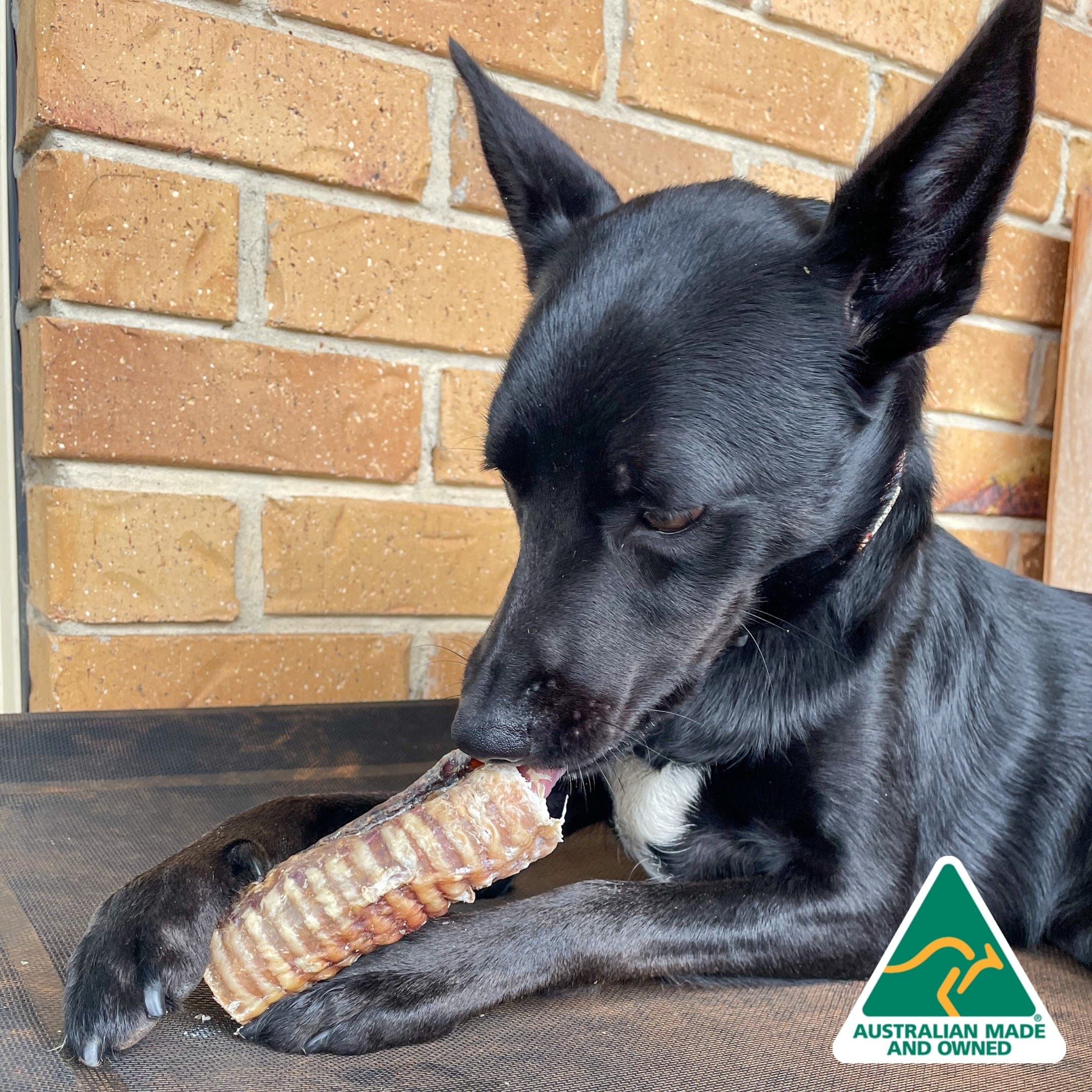 Deep Throat - Cow Trachea-Dog Treat-Rover Pet Products