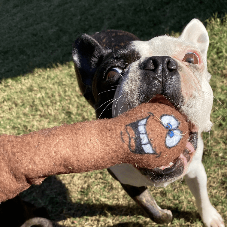 DICKS-Unclassified-Rover Pet Products