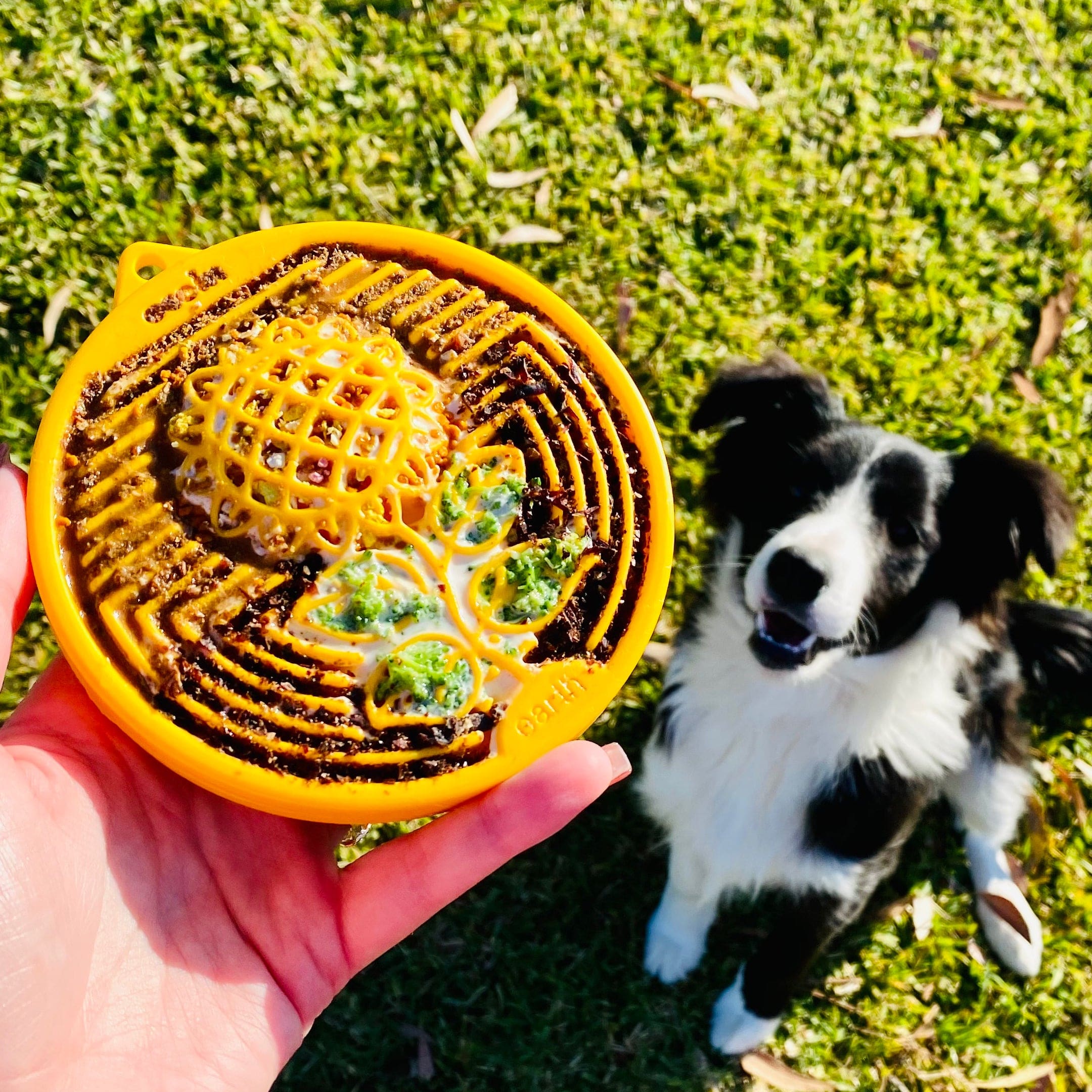 Earth eCoin (Flower)-Slow Feeder-Rover Pet Products