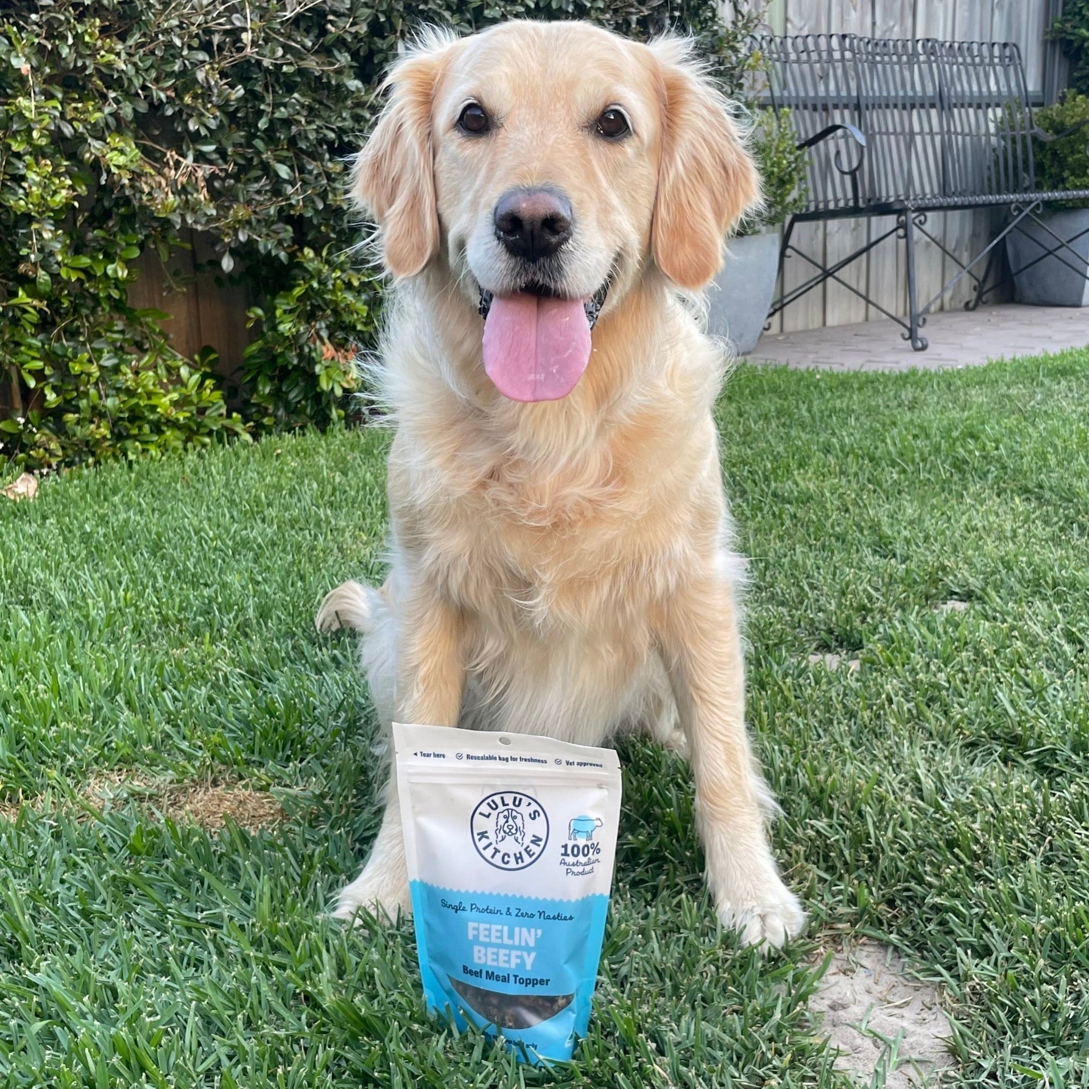 Feelin' Beefy - Beef Meal Topper-Dog Treat-Rover Pet Products