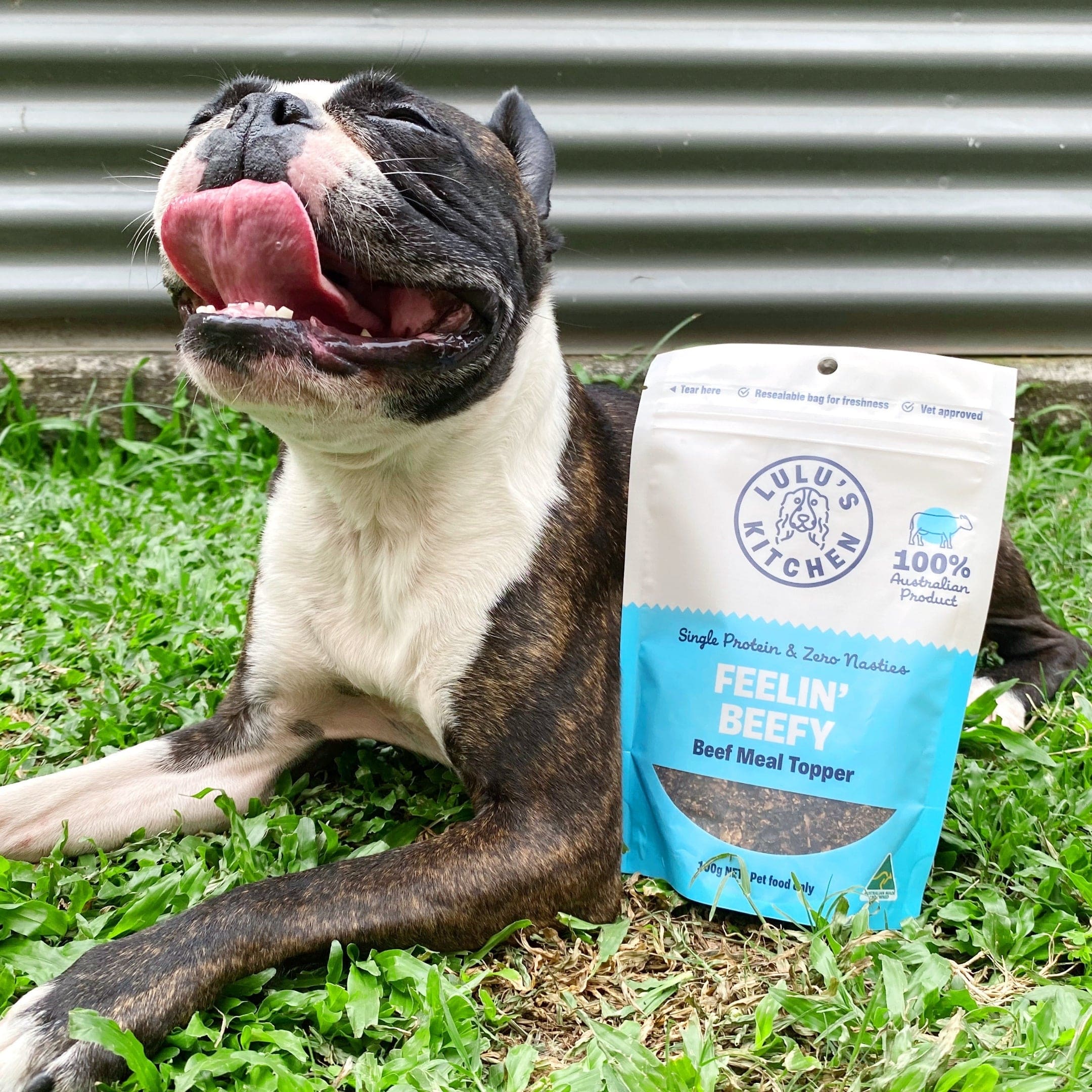 Feelin' Beefy - Beef Meal Topper-Dog Treat-Rover Pet Products