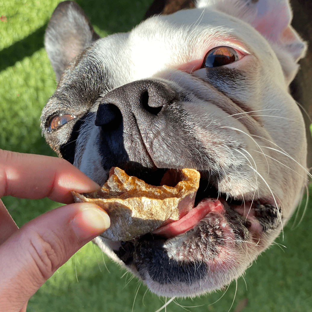 Fishee Qween - Queenfish Bites-Rover Pet Products