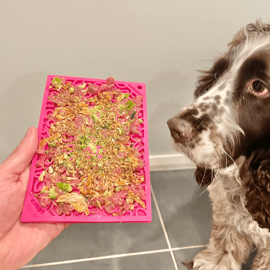 Flower Power eMat Enrichment Lick Mat-Slow Feeder-Rover Pet Products