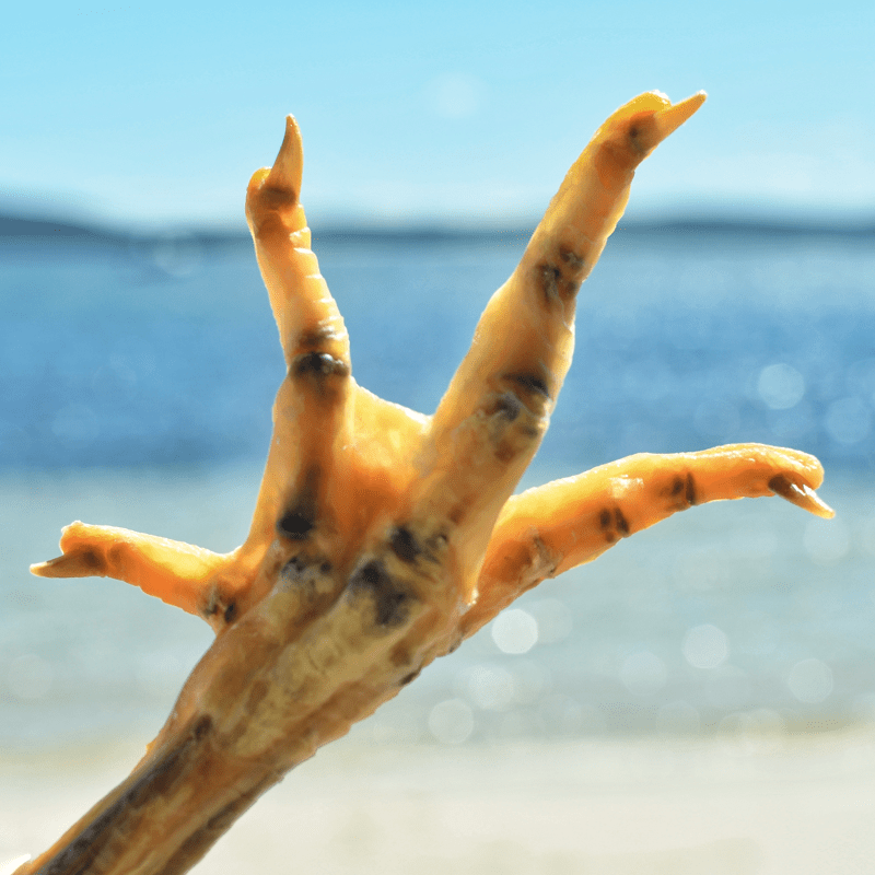 Foot LOOSE! - Chicken Feet-Dog Treat-Rover Pet Products