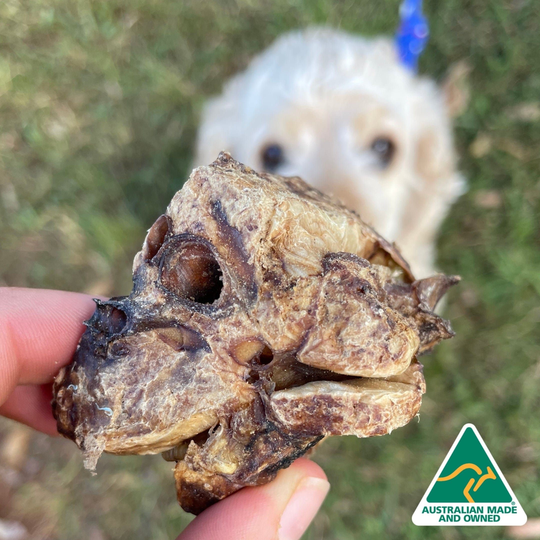 Fork The Pork - Pork Lung-Dog Treat-Rover Pet Products