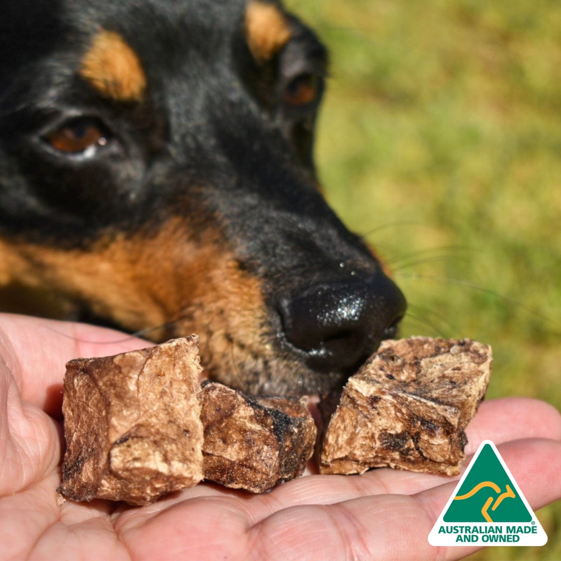 Fork The Pork - Pork Lung-Dog Treat-Rover Pet Products